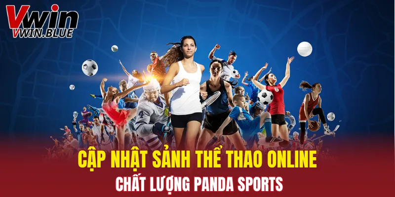 Cập nhật sảnh thể thao online chất lượng Panda sports
