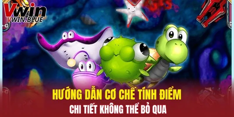 Hướng dẫn cơ chế tính điểm chi tiết không thể bỏ qua