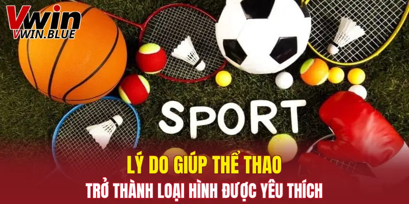 Lý do giúp thể thao trở thành loại hình được yêu thích
