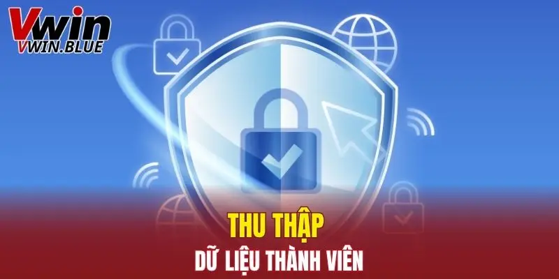 Quyền Riêng Tư Vwin - Cam Kết Bảo Vệ Quyền Lợi Hội Viên 5 Thu thập dữ liệu thành viên