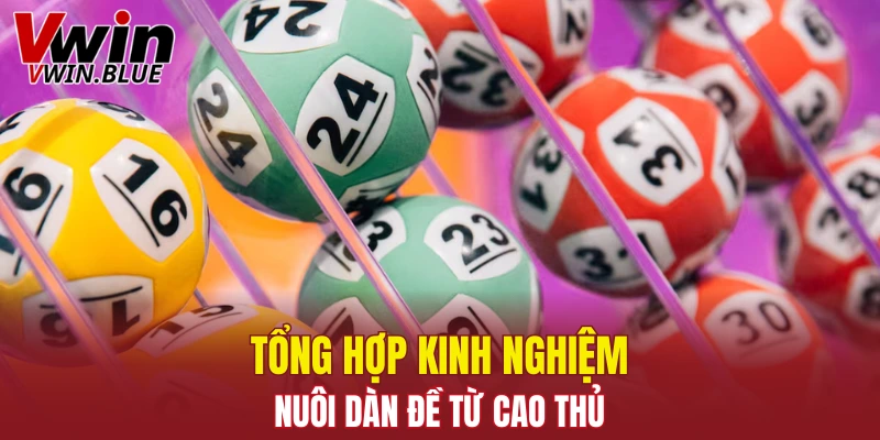 Tổng hợp kinh nghiệm nuôi dàn đề từ cao thủ